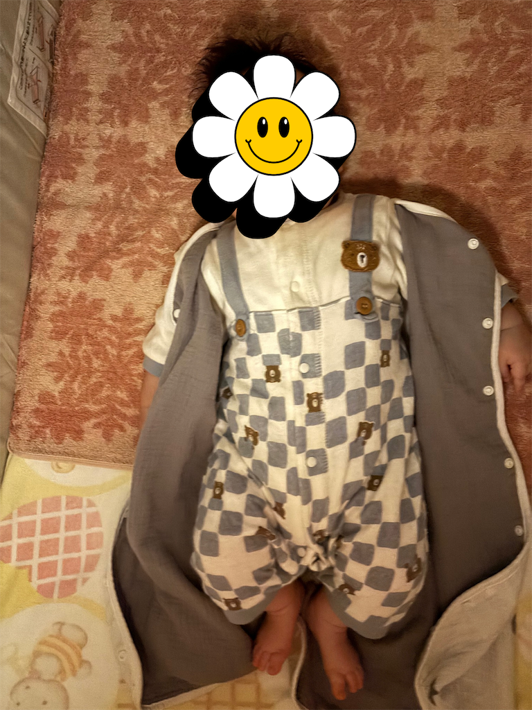 f:id:tamago-no-heya:20250504233920p:image