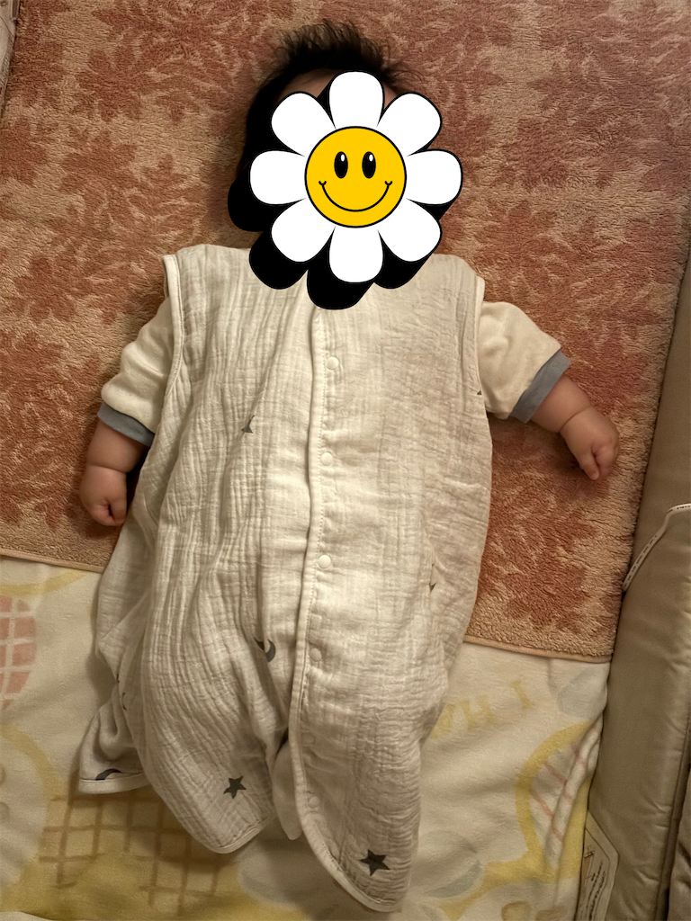 f:id:tamago-no-heya:20250504235842p:image