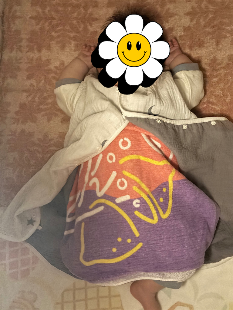 f:id:tamago-no-heya:20250506155551p:image