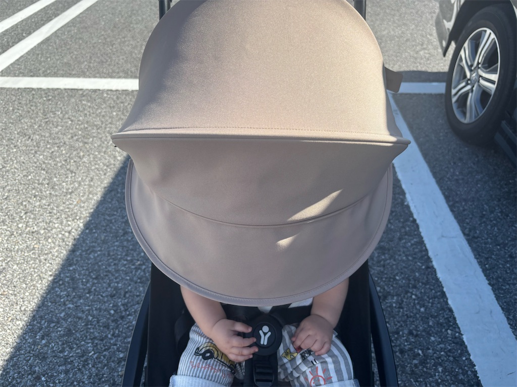 長いキャノピー